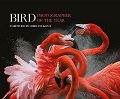 Bird Photographer of the Year - Collection 3