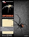 IncrediBuilds: Spiders - Book and Model Set