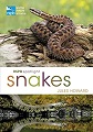 Snakes, RSPB Spotlight on 