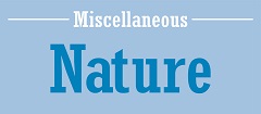 Misc - Nature